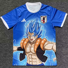 2024/25 Japan Special Edition Fans Jersey