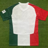 2024/25 Legia Warsaw Third Fans Soccer Jersey 波兰华沙军团