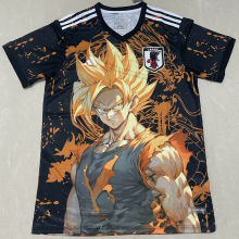 2024/25 Japan Special Edition Fans Jersey