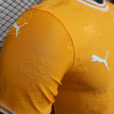 2025 Ivory Coast Special Edition Orange Player Version Jersey