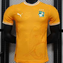 2025 Ivory Coast Special Edition Orange Player Version Jersey