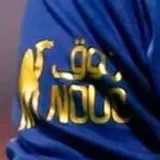 2024/25 Al Nassr Away Player Version Kids Jersey 球员版童装