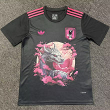 2024/25 Japan Special Edition Fans Jersey