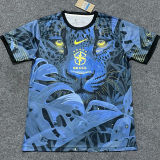 2025 Brazil Special Edition Fans Jersey