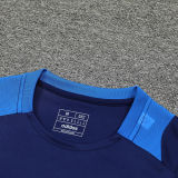 2025 Al Nassr Vest Training Jersey(A Set)