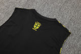 2025 Brazil Vest Training Jersey(A Set)