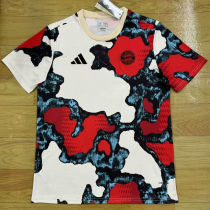 2025 BFC Special Edition Fans Soccer Jersey