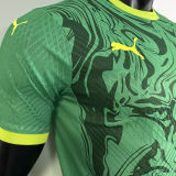 2025 Senegal Away Green Player Version Jersey