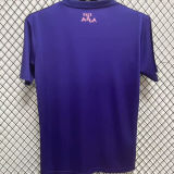 2025 Algeria Special Edition Purple; Fans Soccer Jersey