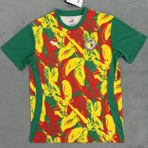 2025 Senegal Training Jersey
