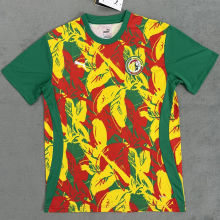 2025 Senegal Training Jersey