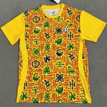 2025 Ghana Training Jersey