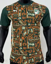 2025 Ivory Coast Special Edition Player Version Soccer Jersey