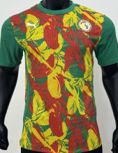 2025 Senegal Special Edition Player Version Soccer Jersey