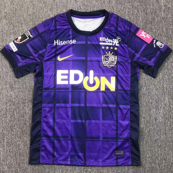 2025 Hiroshima Sanfrecce Home Fans Soccer Jersey(广岛三箭)