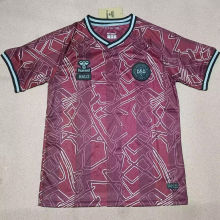 2025/26 Denmark Home Fans Soccer Jersey