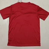2025 RB L Away Red Fans Soccer Jersey