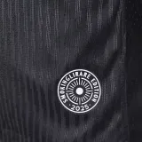 2025 AIK Solna Special Edition Black Player Version Jersey AIK索尔纳