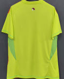 2025/26 Flamengo Yellow GK Fans Soccer Jersey