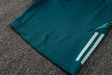 2025/26 Cruzeiro Light Green Training Jersey(A Set)