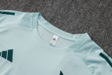 2025/26 Cruzeiro Light Green Training Jersey(A Set)