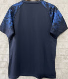 2025 The British & Irish Lions Rugby Shirt 红狮子