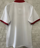2025 The British & Irish Lions Rugby Shirt 红狮子