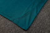 2025/26 Cruzeiro Green Vest Training Jersey(A Set)