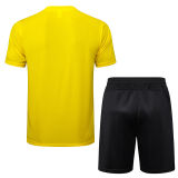 2025/26 BVB  Yellow Training Jersey(A Set)