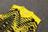2025/26 BVB  Yellow Vest Training Jersey(A Set)