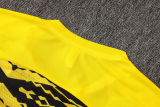 2025/26 BVB  Yellow Vest Training Jersey(A Set)