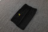 2025/26 BVB  Yellow Training Jersey(A Set)