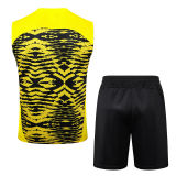 2025/26 BVB  Yellow Vest Training Jersey(A Set)