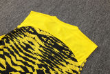 2025/26 BVB  Yellow Vest Training Jersey(A Set)