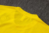 2025/26 BVB  Yellow Training Jersey(A Set)