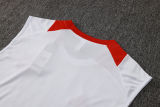 2025/26 Internacional  White  Vest Training Jersey(A Set)