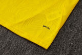 2025/26 BVB  Yellow Training Jersey(A Set)