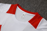 2025/26 Internacional  White  Vest Training Jersey(A Set)
