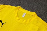 2025/26 BVB  Yellow Training Jersey(A Set)