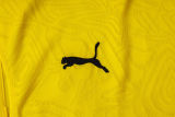 2025/26 BVB  Yellow Vest Training Jersey(A Set)