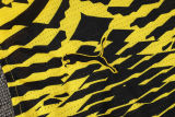 2025/26 BVB  Yellow Vest Training Jersey(A Set)