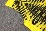 2025/26 BVB  Yellow Vest Training Jersey(A Set)