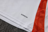 2025/26 Internacional  White  Vest Training Jersey(A Set)