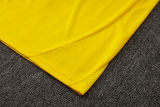 2025/26 BVB  Yellow Training Jersey(A Set)
