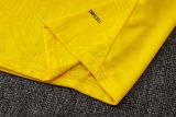 2025/26 BVB  Yellow Training Jersey(A Set)