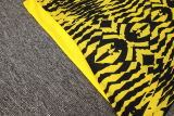 2025/26 BVB  Yellow Vest Training Jersey(A Set)