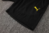 2025/26 BVB  Yellow Training Jersey(A Set)