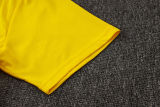 2025/26 BVB  Yellow Training Jersey(A Set)