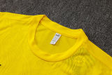 2025/26 BVB  Yellow Vest Training Jersey(A Set)