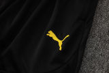 2025/26 BVB  Yellow Training Jersey(A Set)
